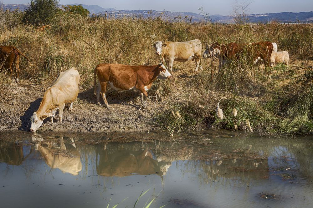 Photograph by Людмила Бутова