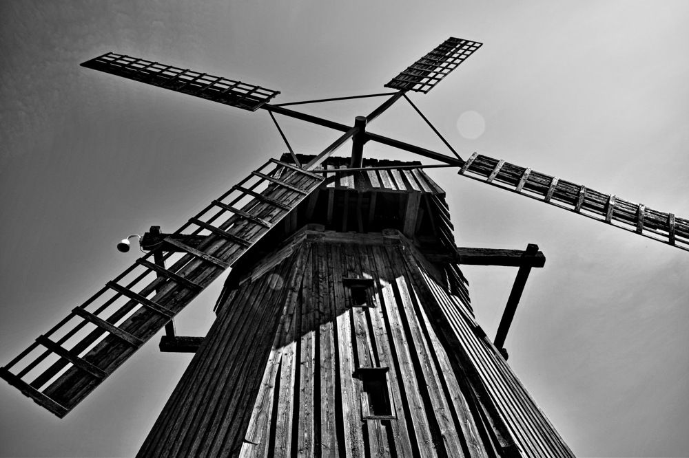 Фотография автора Моисеева Ольга