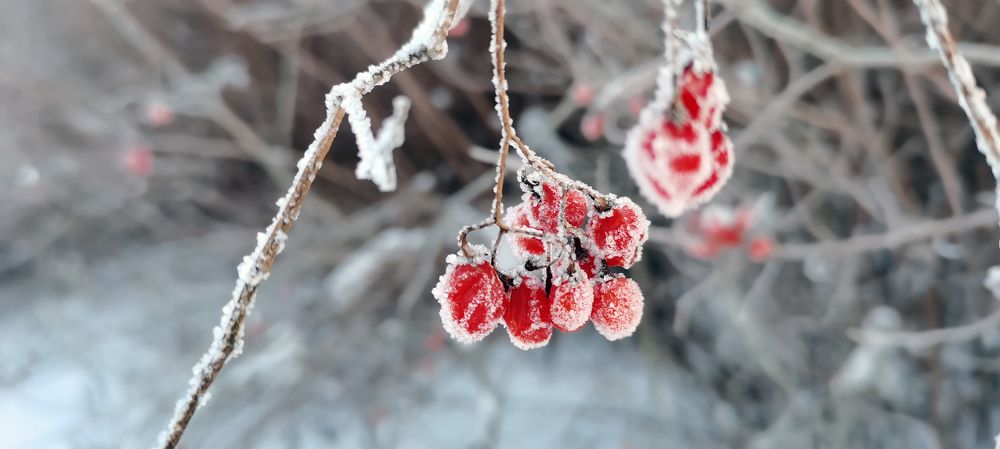 Photograph by Анна Сойтту