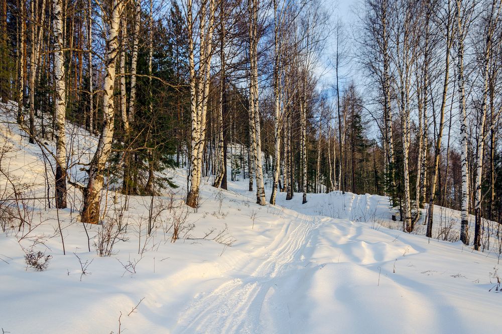 Photograph by Sergey L