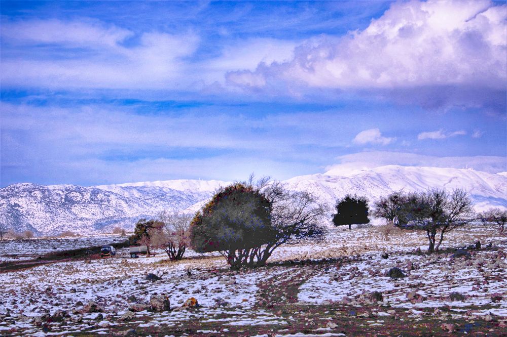 Photograph by Людмила Бутова