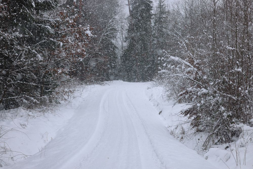 Photograph by Виктория Янушанис