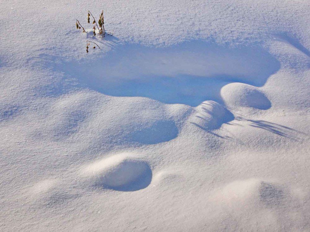 Photograph by Игорь Пшеничников