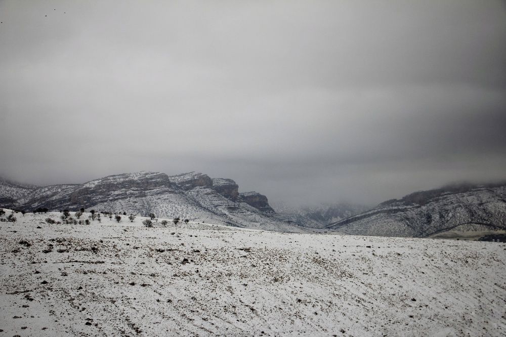 Photograph by Marziyeh Nasiri