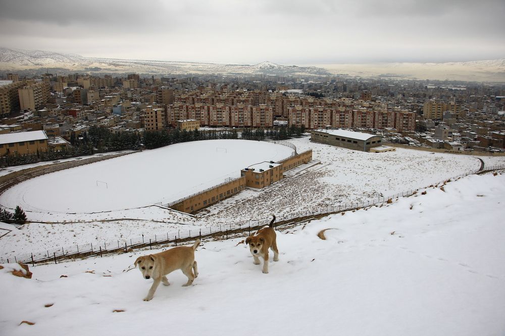 Photograph by Marziyeh Nasiri
