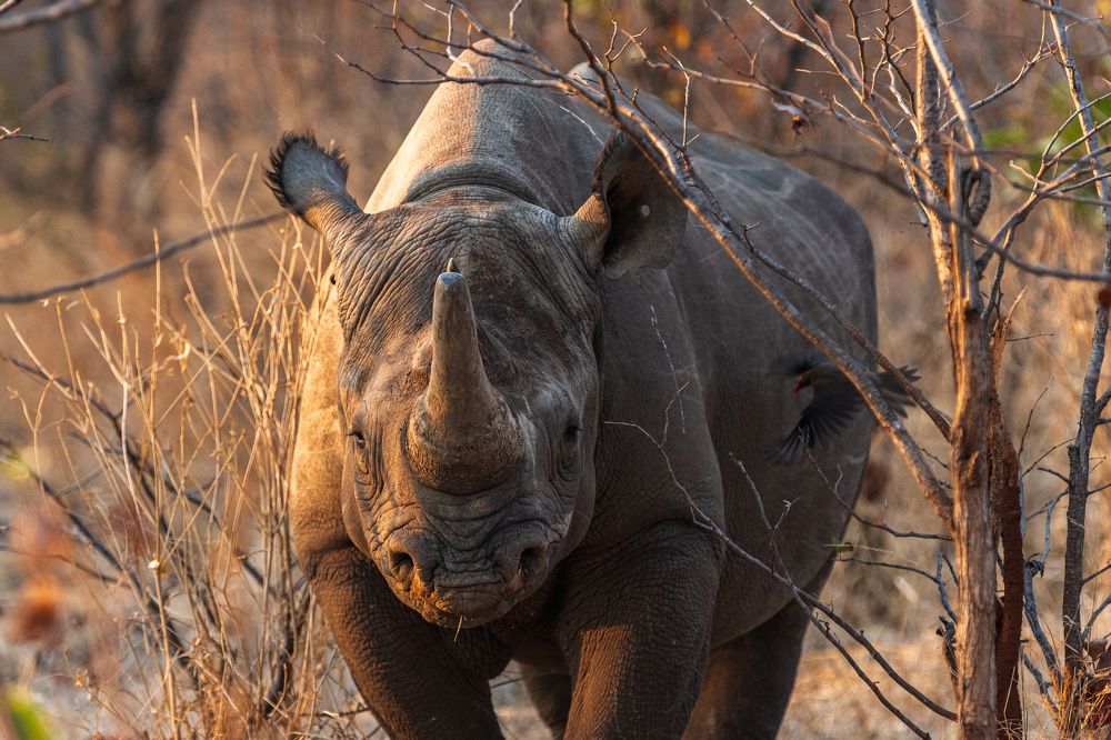 Photograph by Дмитрий Николаев