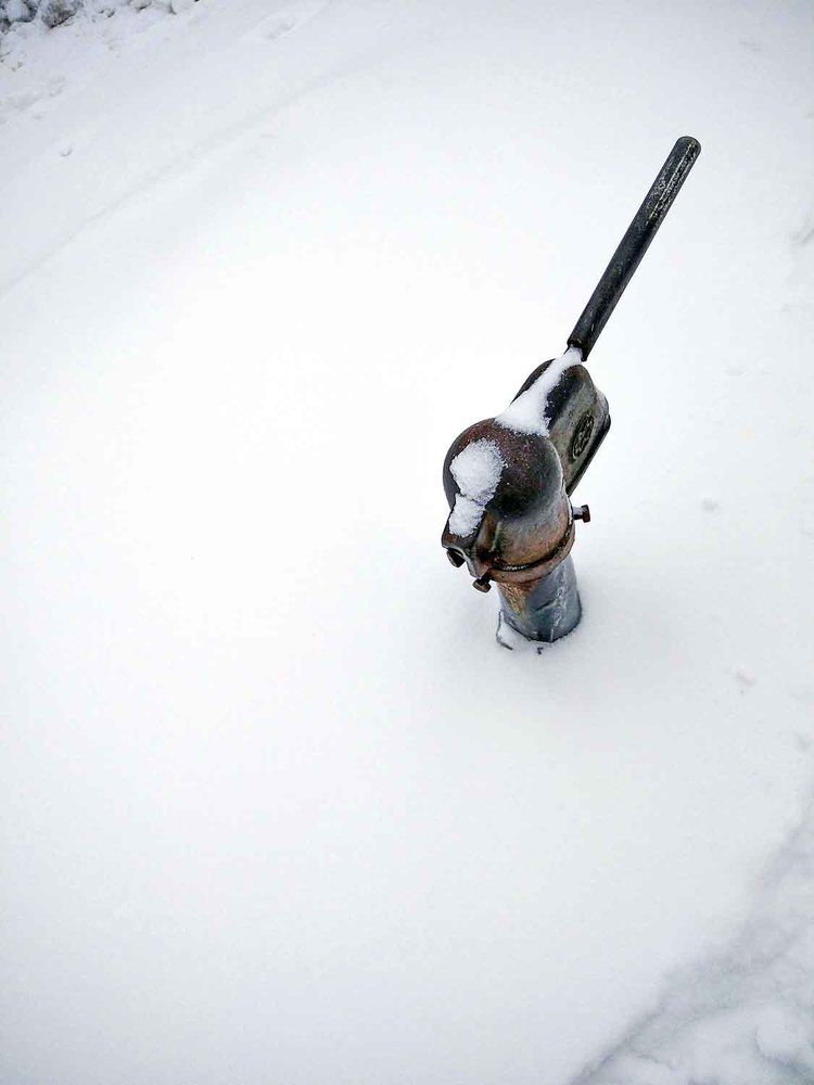 Photograph by Игорь Пшеничников