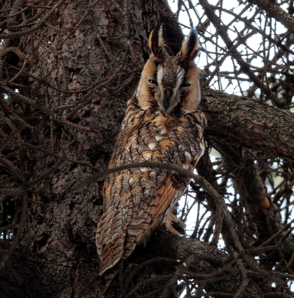 Photograph by Павел Краснослободцев