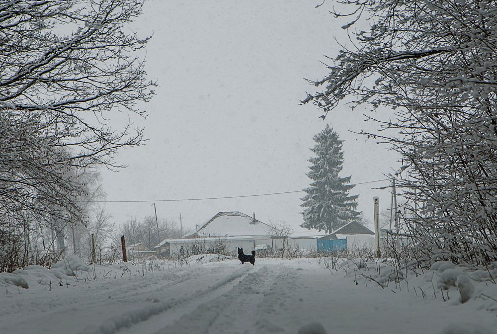 Photograph by Михаил Фенелонов