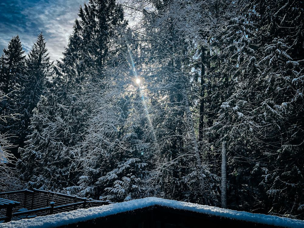 Photograph by Natalia Everatt