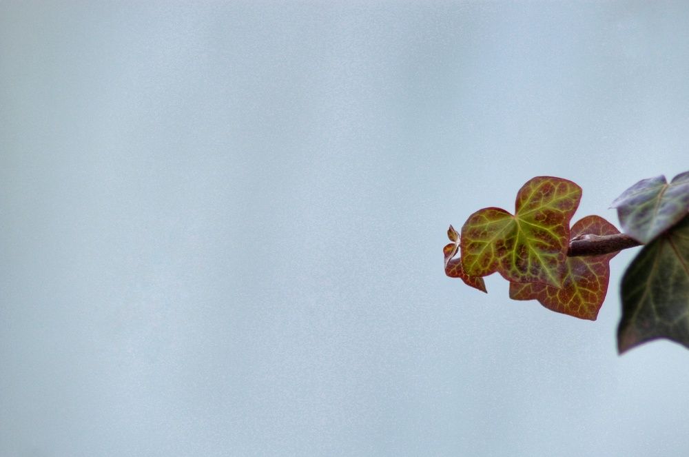 Photograph by Владимир Осипов