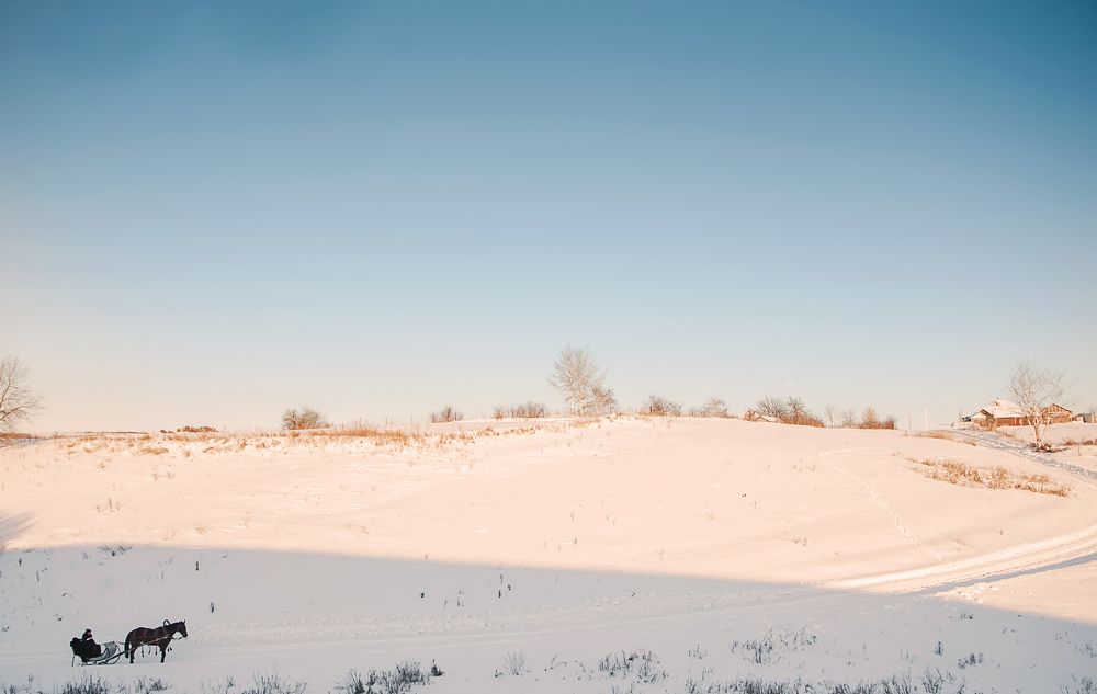 Photograph by Михаил Фенелонов