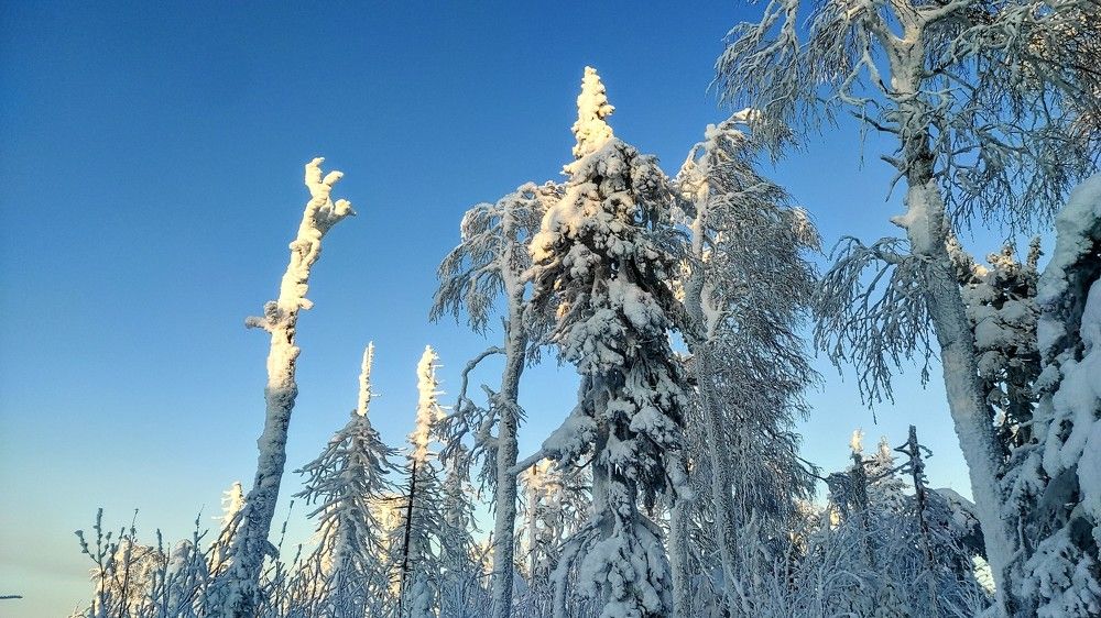 Photograph by Ирина Саттарова