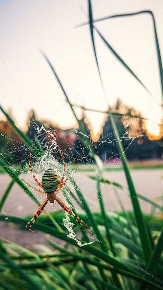 Photograph by Петр