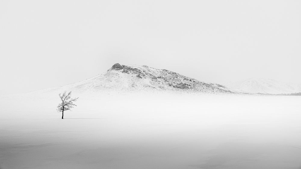 Фотография автора  Евгений