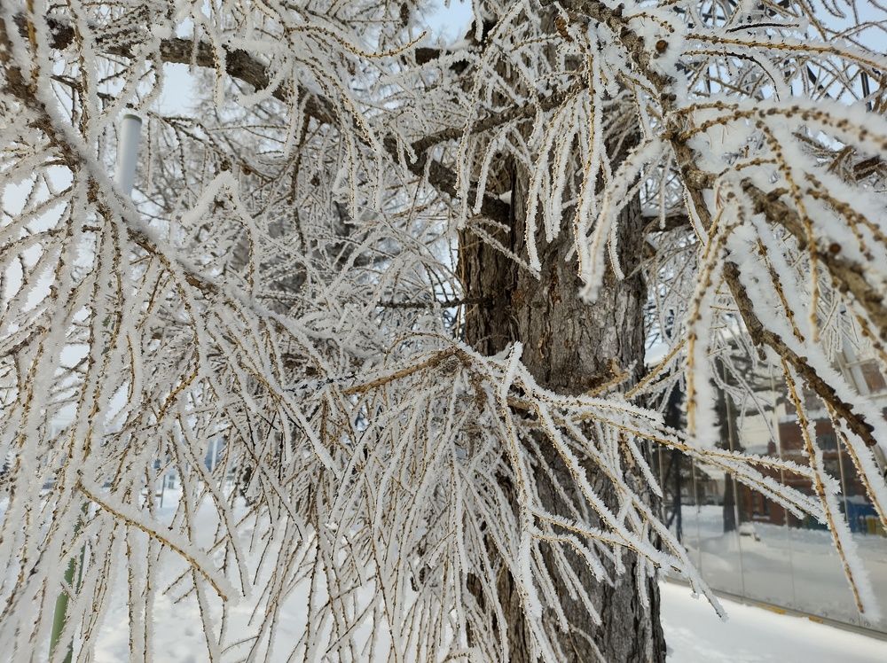 Photograph by Александра