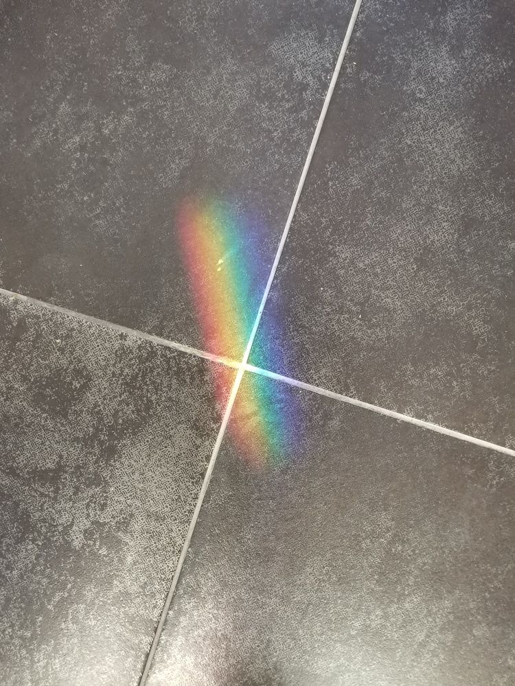 Фотография автора Юлия Лубкина