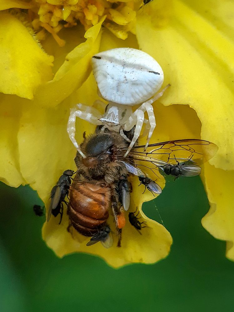 Photograph by Souradip Dey