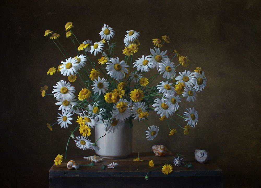 Photograph by Курочкина Диана