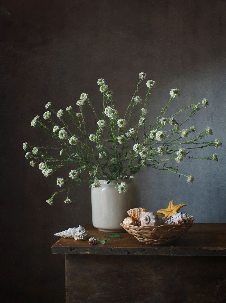 Photograph by Курочкина Диана