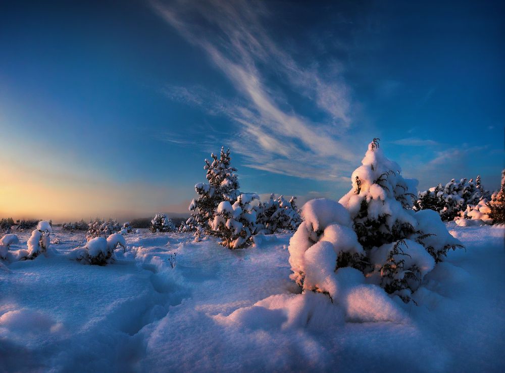 Photograph by Геннадий