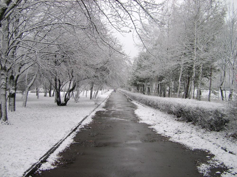 Photograph by Хлопоня Михаил