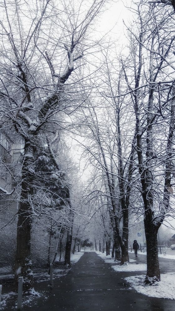 Photograph by Светлана Безъязычная