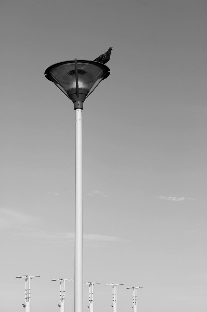 Photograph by Елена Коврижных