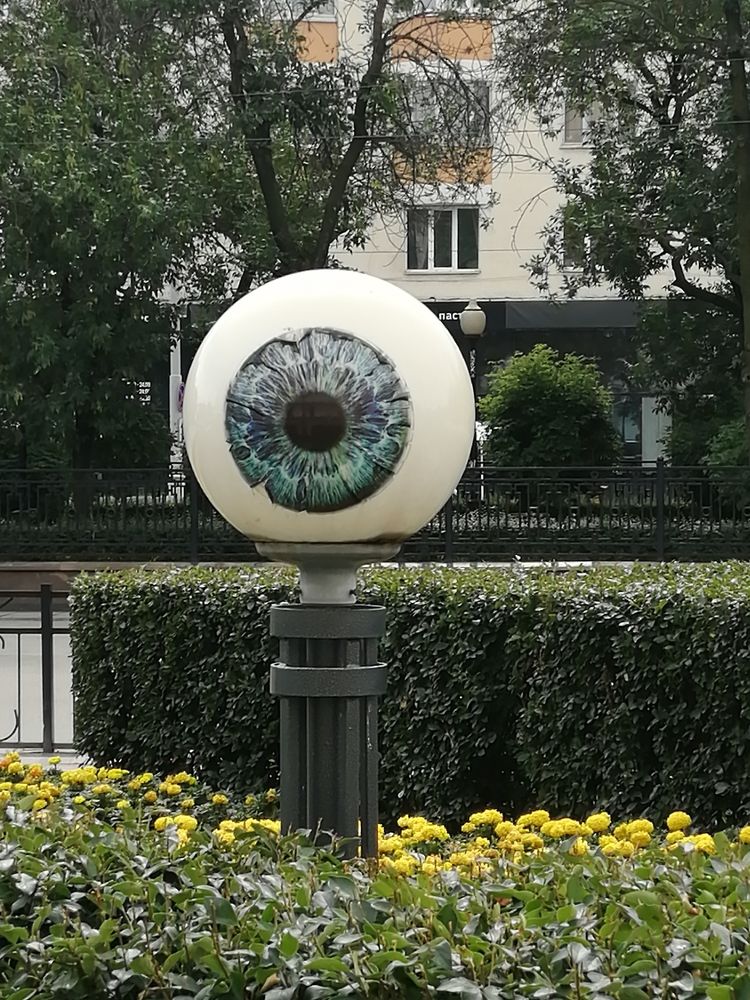 Фотография автора Юлия Лубкина