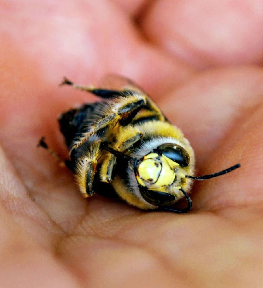 Photograph by Sakhria Mbarki