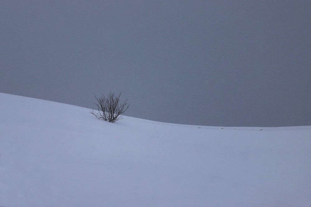 Photograph by Андрей Телибаев