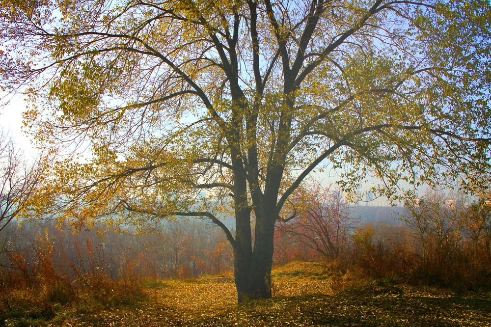 Photograph by Курочкина Диана