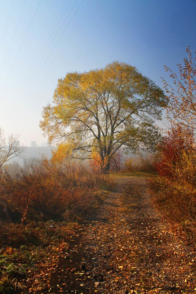 Photograph by Курочкина Диана