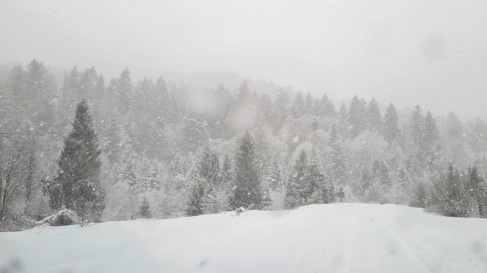 Photograph by Андрей Телибаев