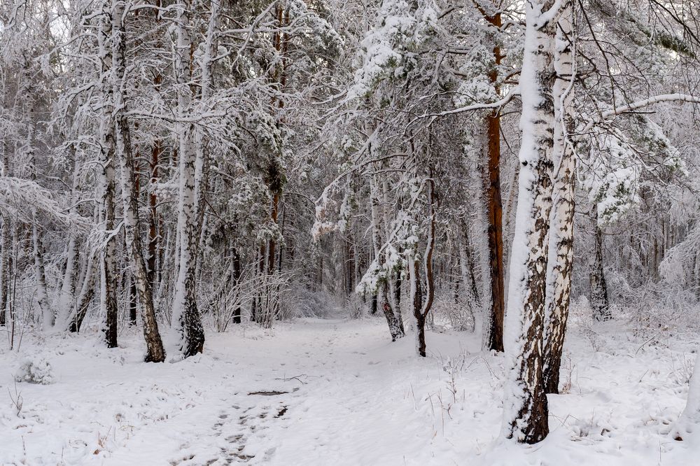 Photograph by Константин Степанов