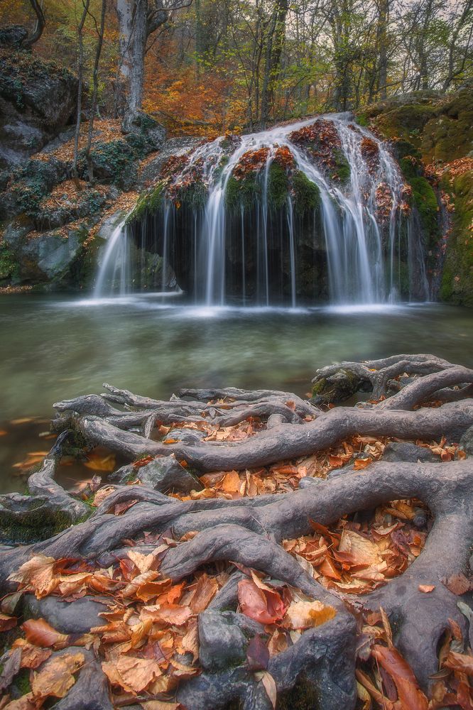 Photograph by Екатерина Дмитренко