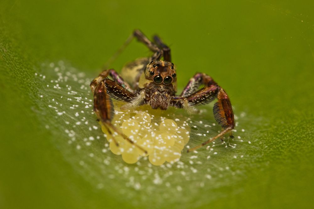 Photograph by Ananth