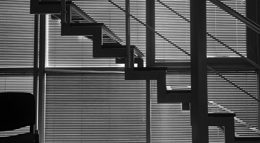 Photograph by Alex Kalpus