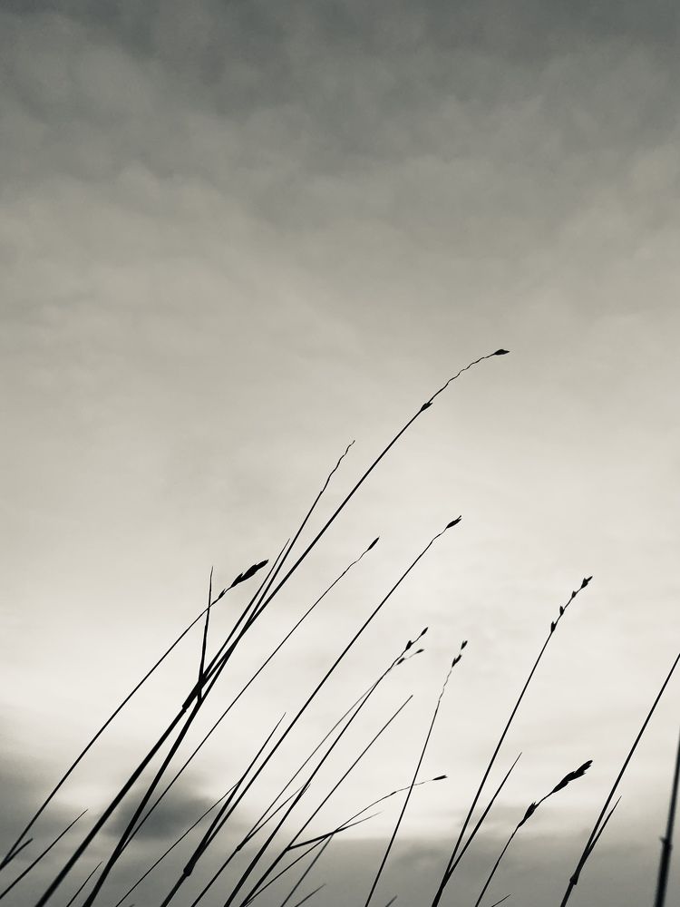 Photograph by Виктория Ярина