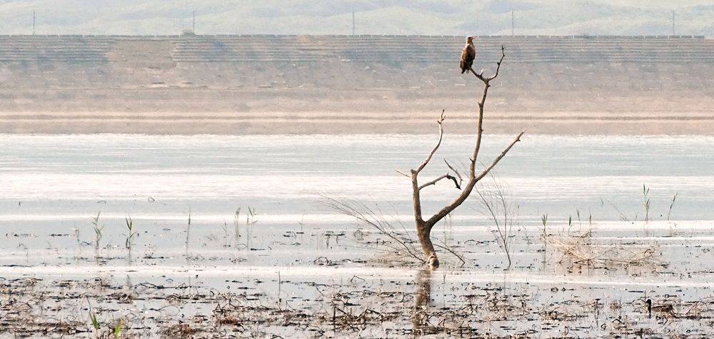 Photograph by Alex Kalpus