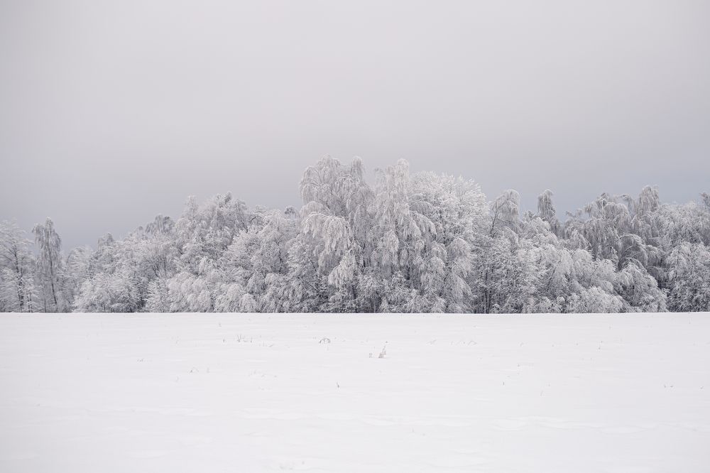 Photograph by Надежда Юрлова