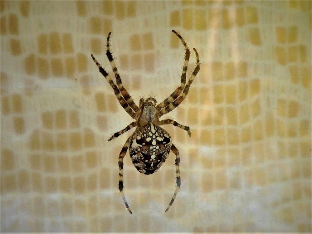 Photograph by Татьяна Красавцева