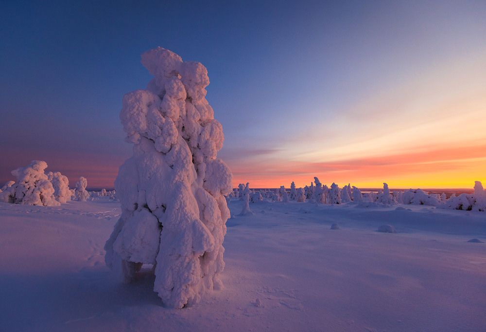 Долина динозавров.