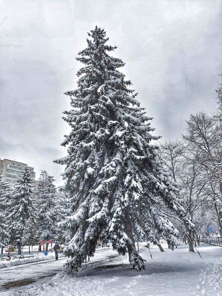 Photograph by Дарья