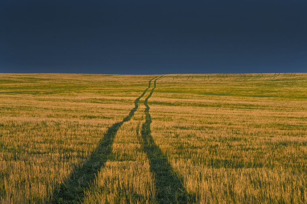 Photograph by Сергей Чарушин