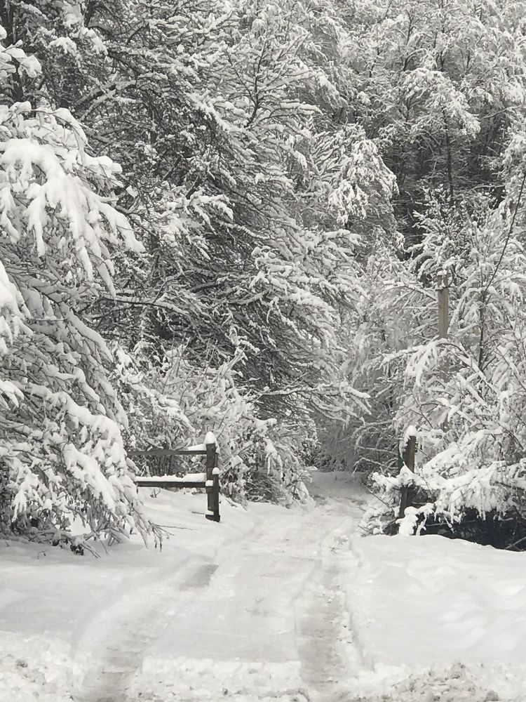 Photograph by Кузмин Дмитрий