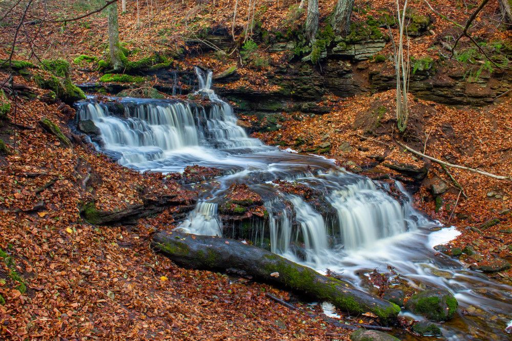 Photograph by Andres Papp