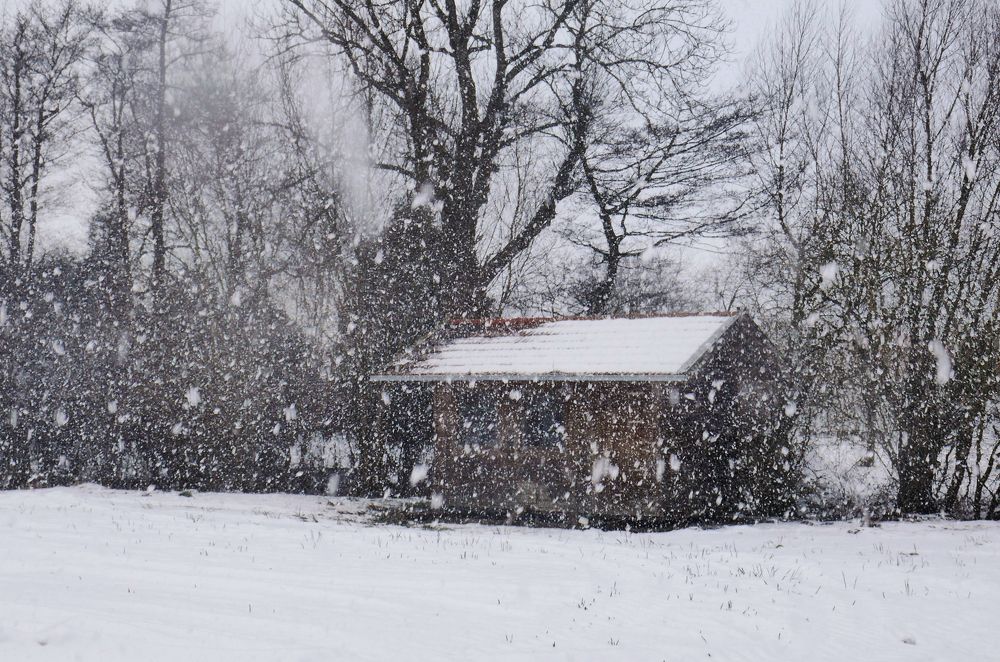 Photograph by Gabriella Szabo