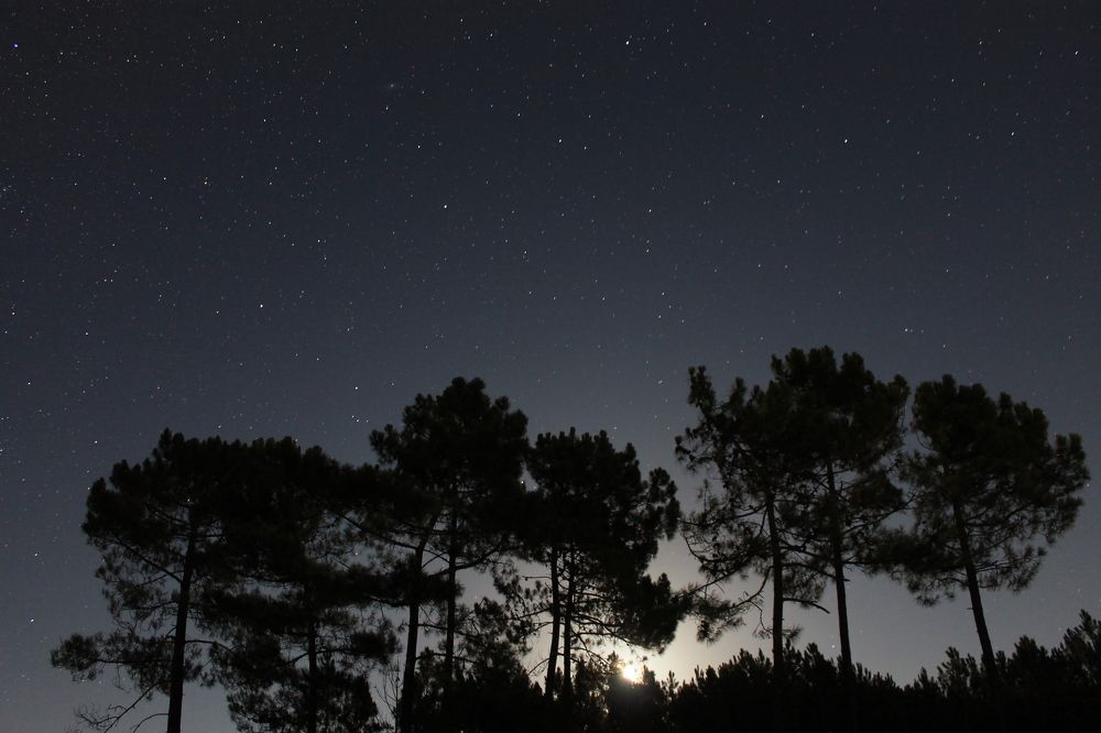 Photograph by Ferreira Francisco