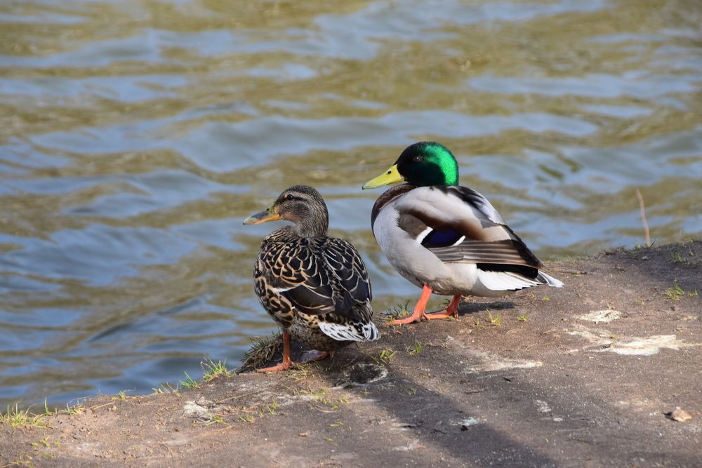 Photograph by Galina Leskova